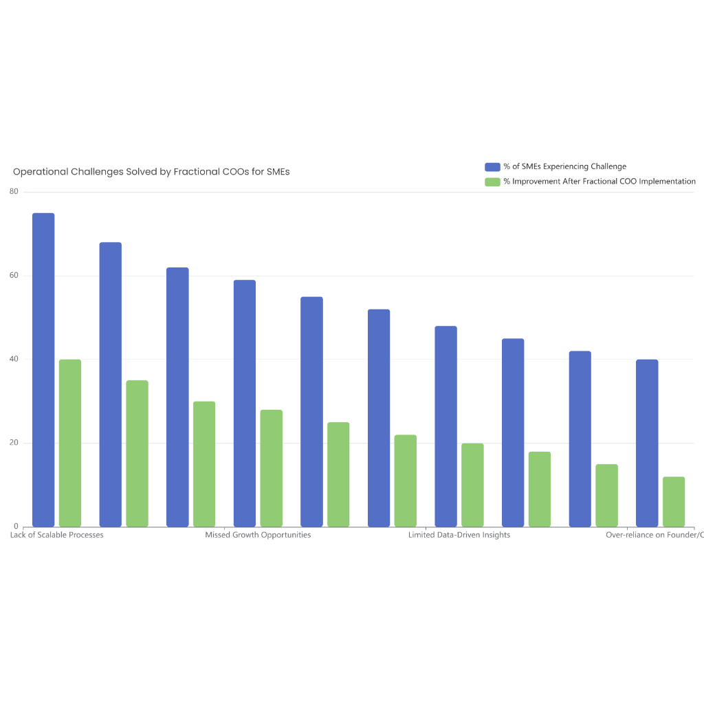 Operational Challenges Solved by Fractional COOs for SMEs | AI Graph Maker